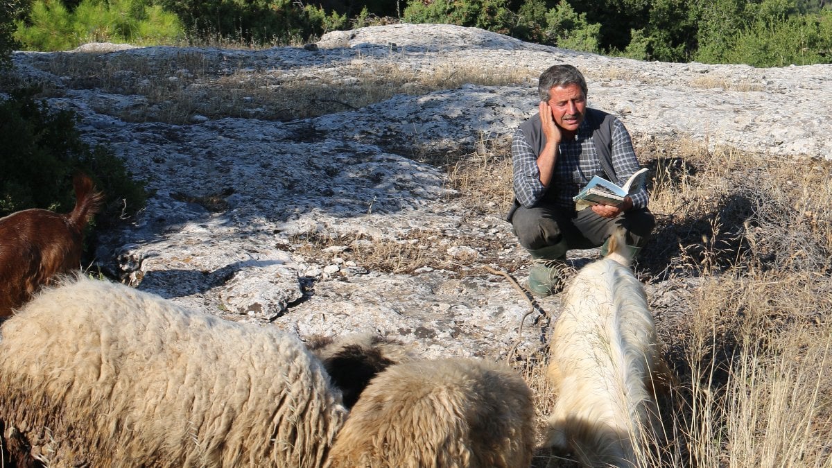 50 yaşındaki çoban, keçilerinden aldığı ilhamla şiir yazıyor