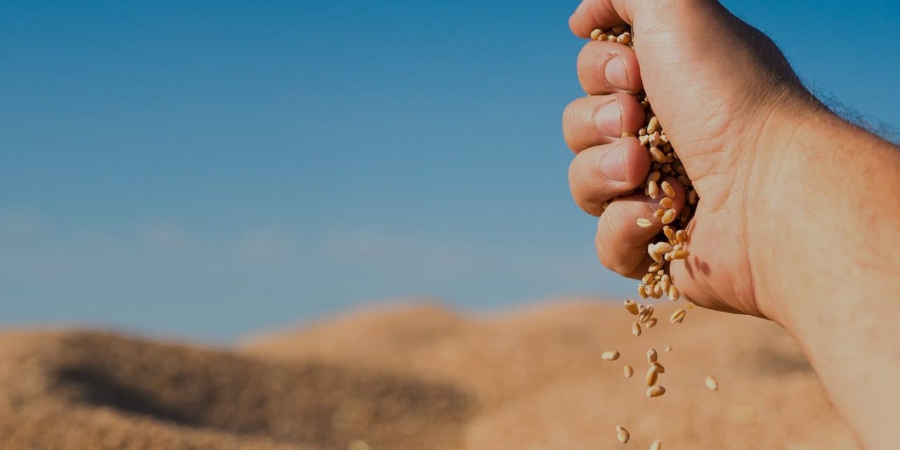 100 milyar dolarlik pazar hedef dunya liderligi I3VbRd8t