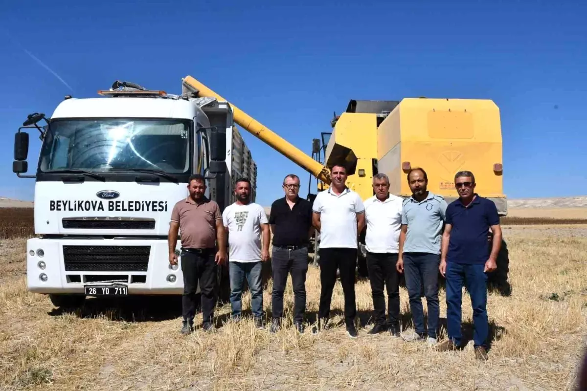 beylikovada yaglik aycicegi hasadi basladi 4 milyon tl ek gelir saglandi 4F14h6pg