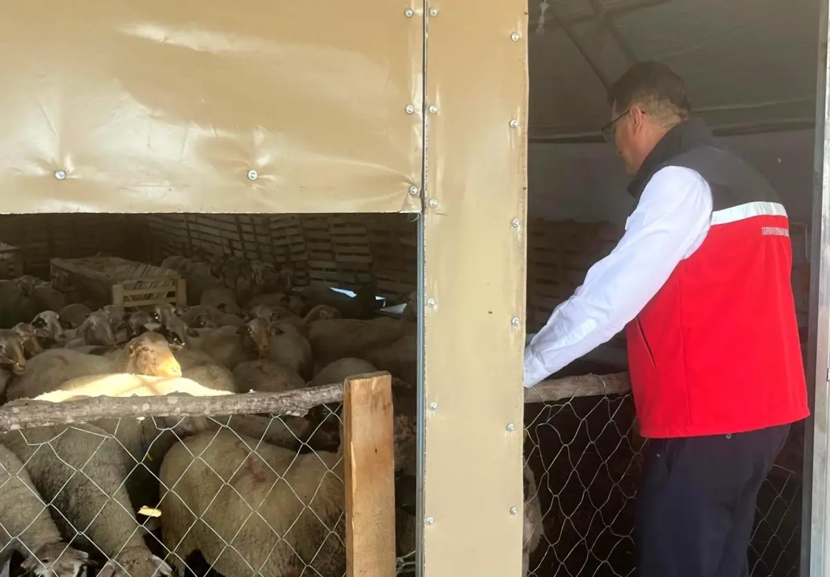 tekirdagda hayvancilik ziyareti 7IubPaj5