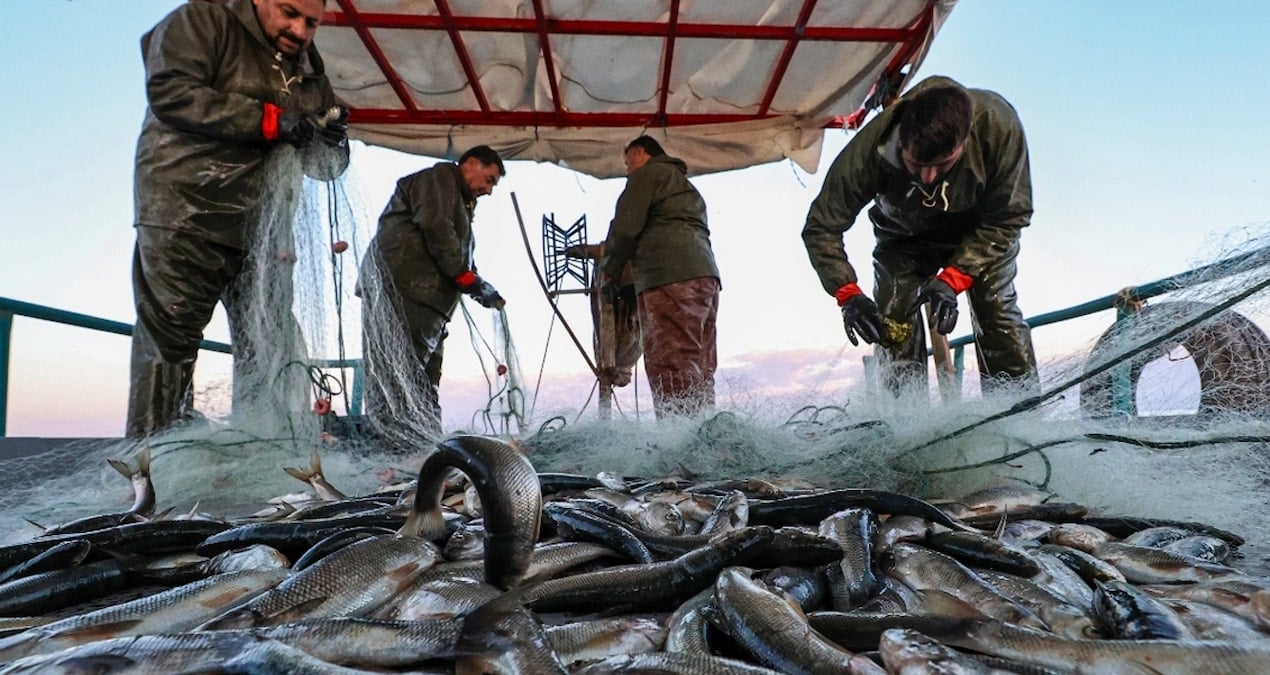 bakanlik duyurdu bu illerdeki balikcilara en az 5 bin en fazla 12 bin lira verilecek ZmpSERgm.jpg