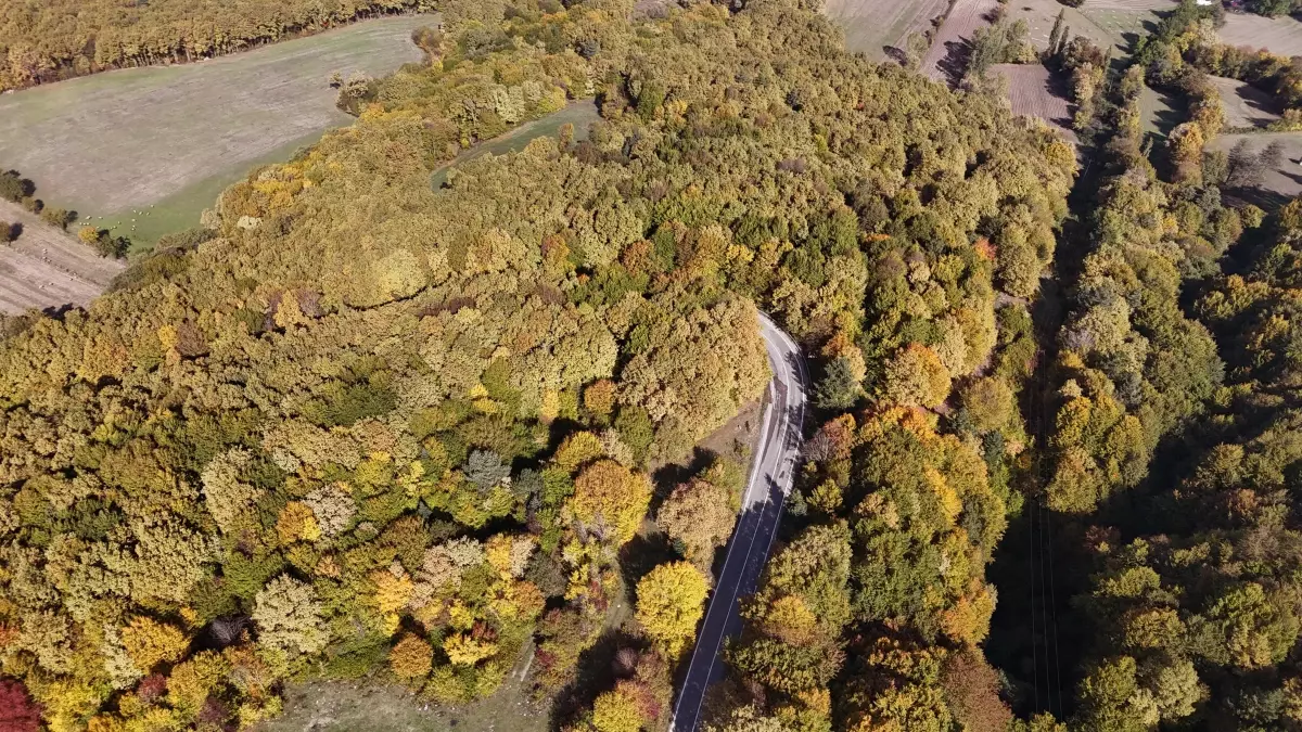 boluda sonbahar manzarasi iVQcIBPz.jpg