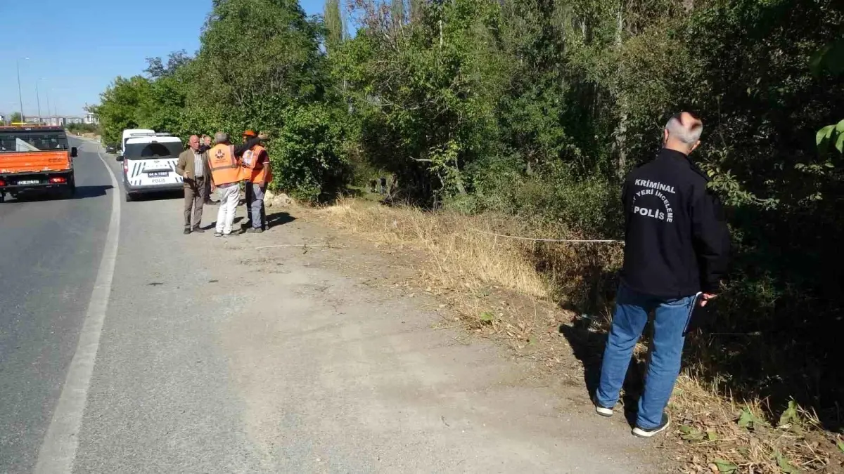 malatyada otomobil kayisi bahcesine uctu 1 yarali 2kDrHMpA.jpg