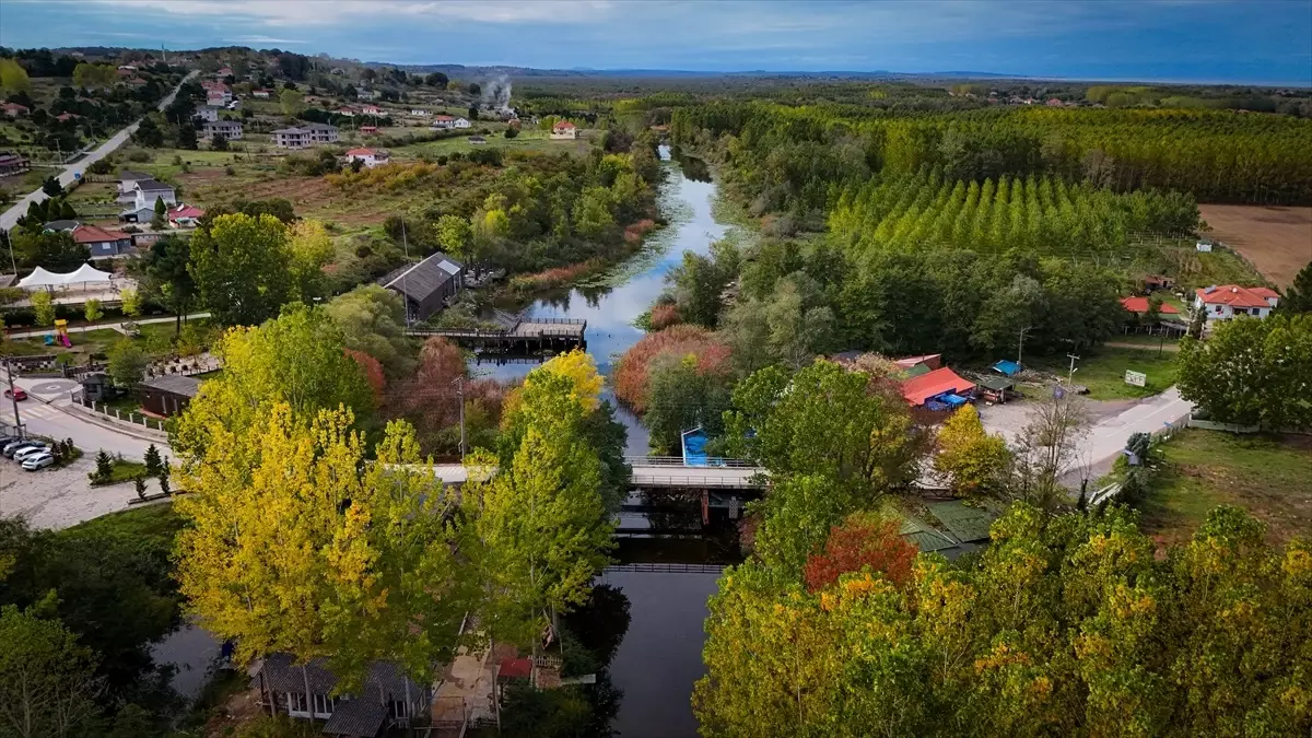 sonbahar renk cumbusu acarlar longozunda 1YVTbBJC.jpg