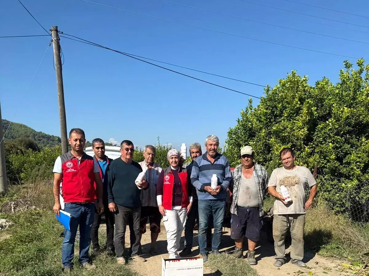 ortacada narenciye zararlilariyla mucadele devam ediyor VucSpk8g.jpg