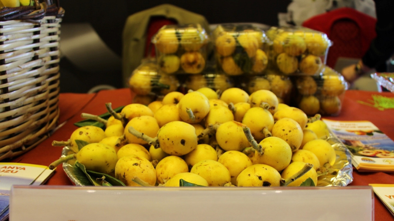 Coğrafi İşaretli Ürünlerin AB Tescil Süreci Hız Kazandı: Amaç 100 Ürün Tescili