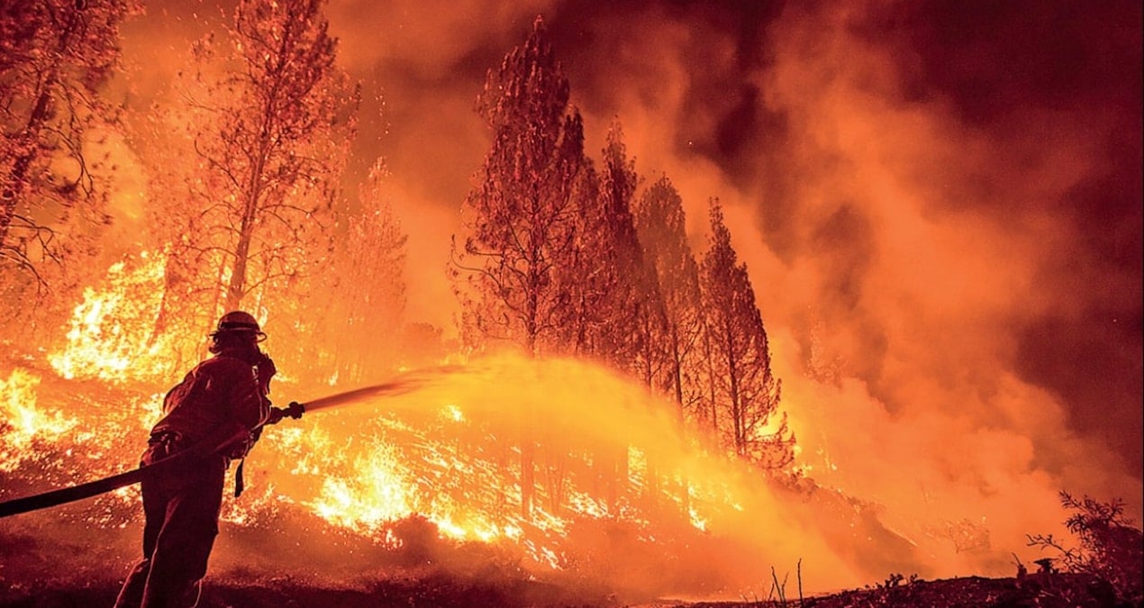 Vicdanı Olmayanların Sorumluluğu: Orman Yangını ve Hayatını Kaybedenler