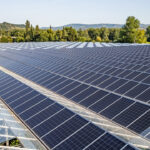 Dijital Tarımın Gücü: Çin’in Algoritmaları Dünyanın Beslenmesine Katkı Sağlayabilir mi?