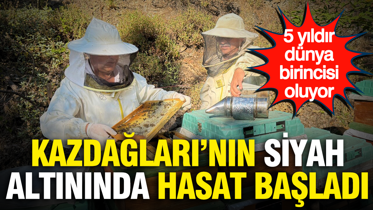 Kazdaglarinin siyah altininda hasat basladi 5 yildir dunya birincisi oluyor 9yVZepeN
